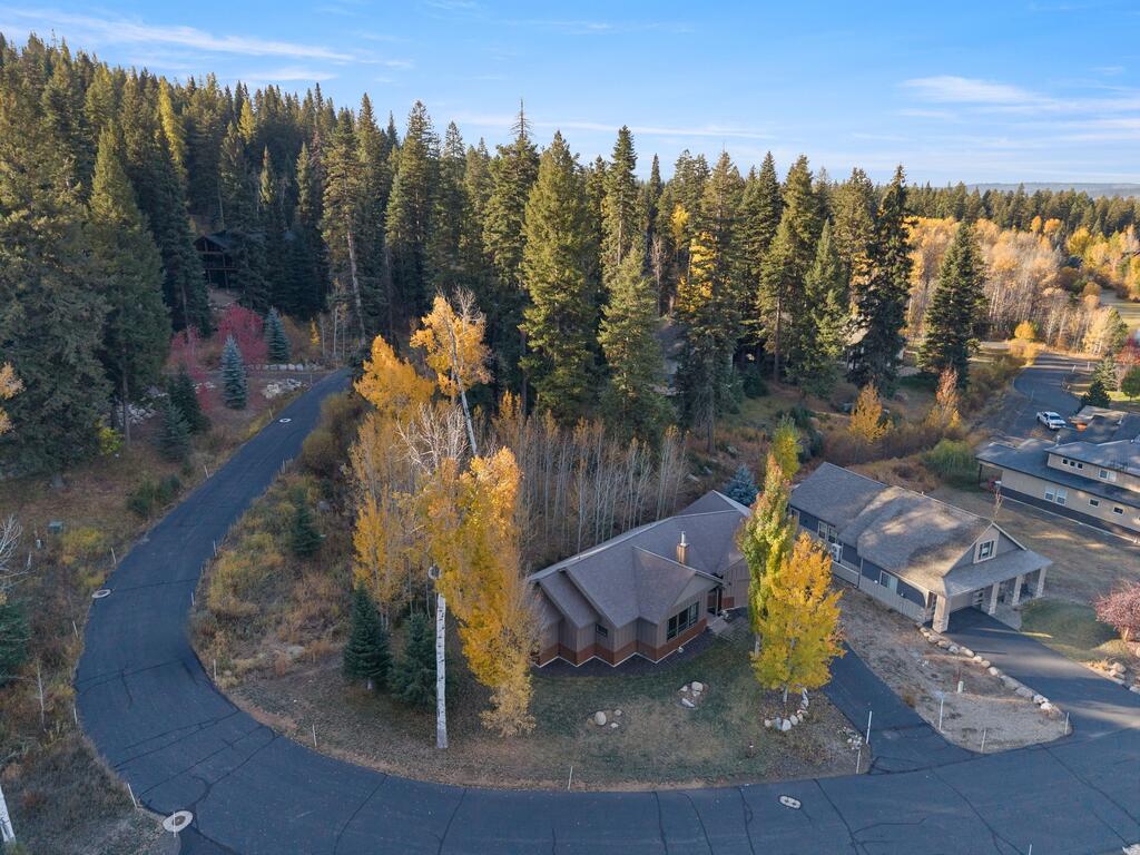 1500 Dragonfly Loop, McCall