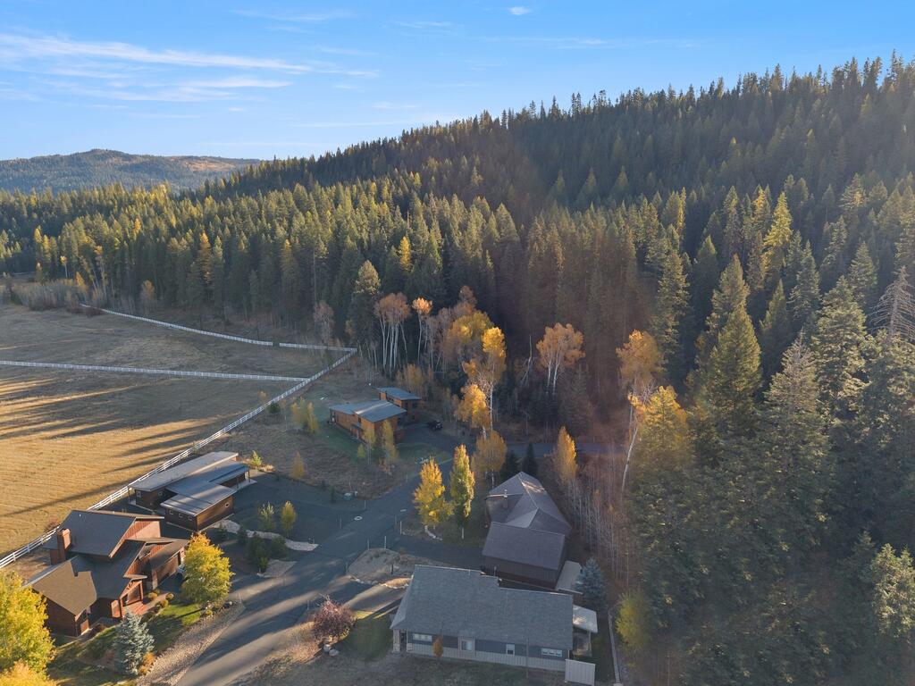 1500 Dragonfly Loop, McCall