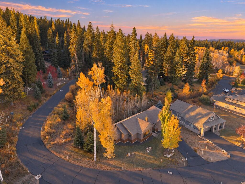1500 Dragonfly Loop, McCall