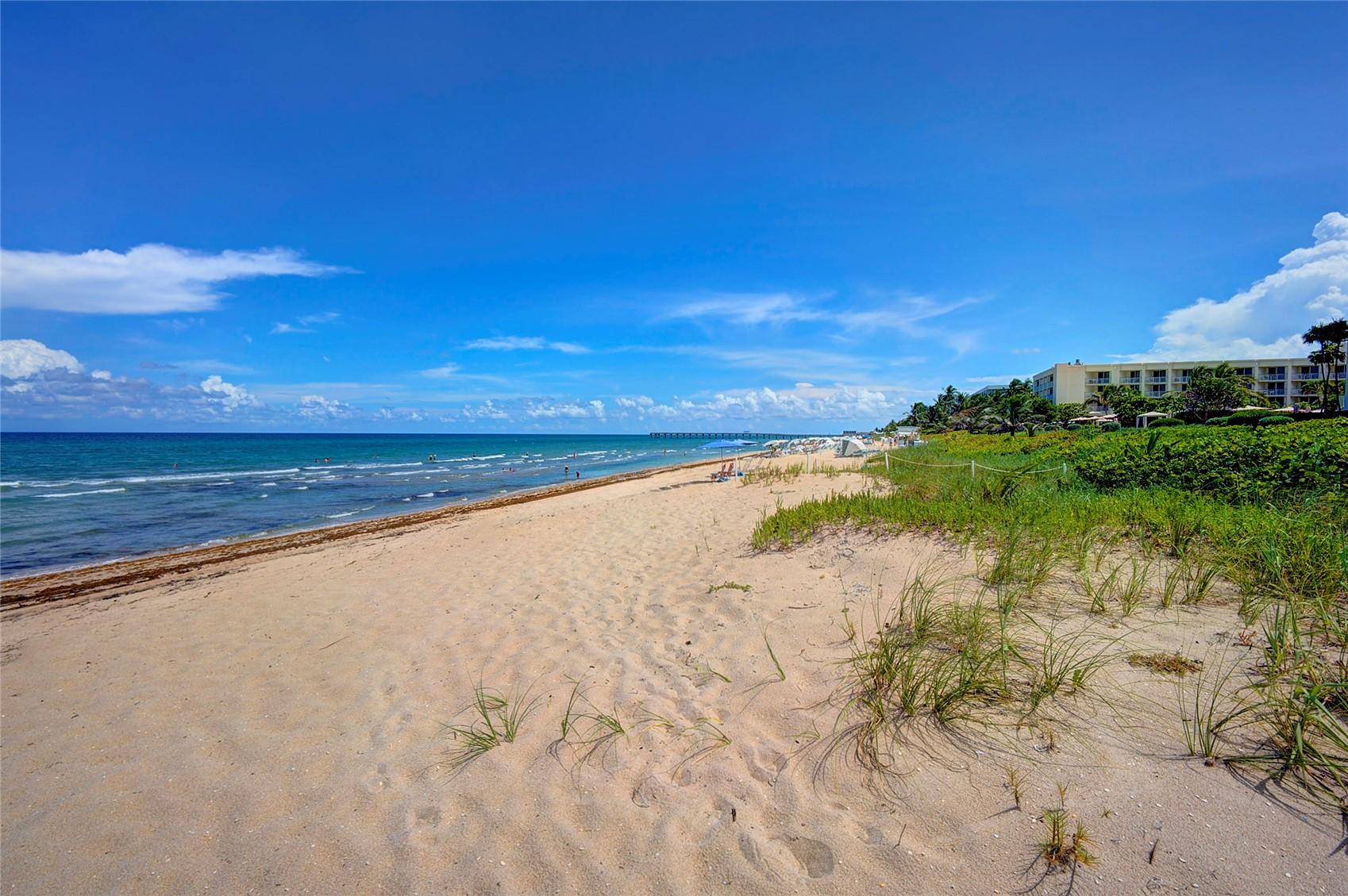 2780 S Ocean Blvd Unit: 304