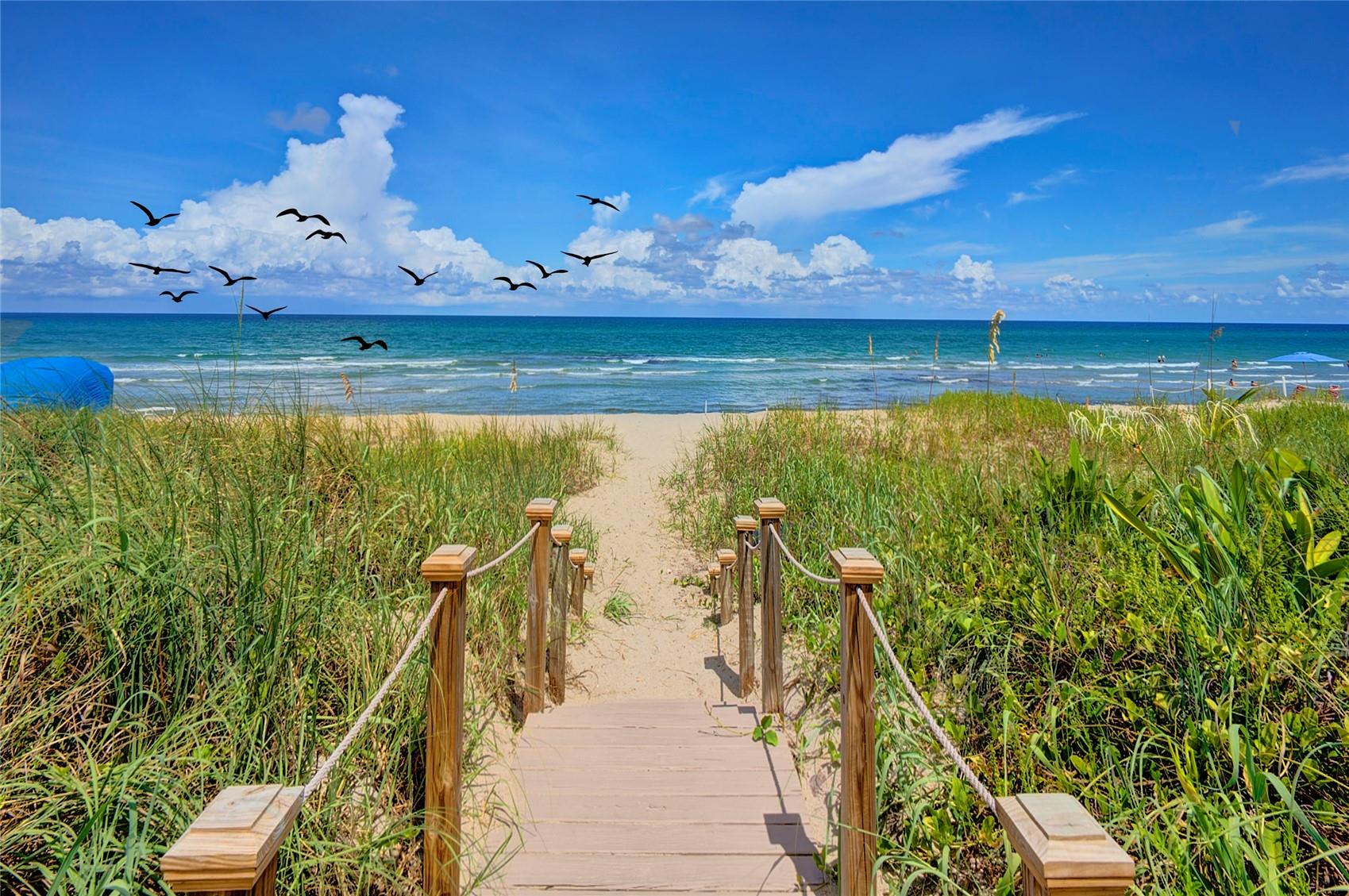 2780 S Ocean Blvd Unit: 304