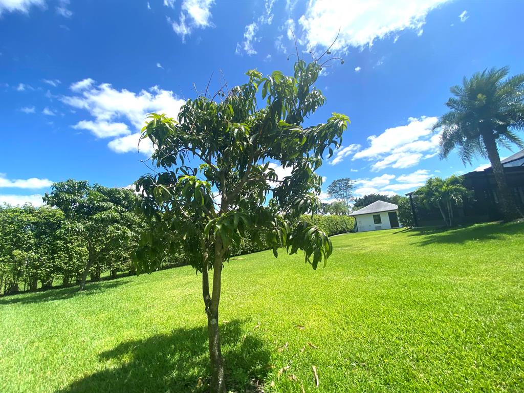 14977 Key Lime Boulevard