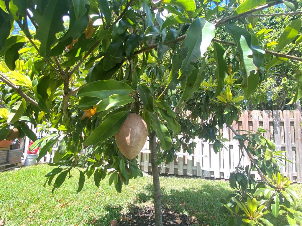 14977 Key Lime Boulevard