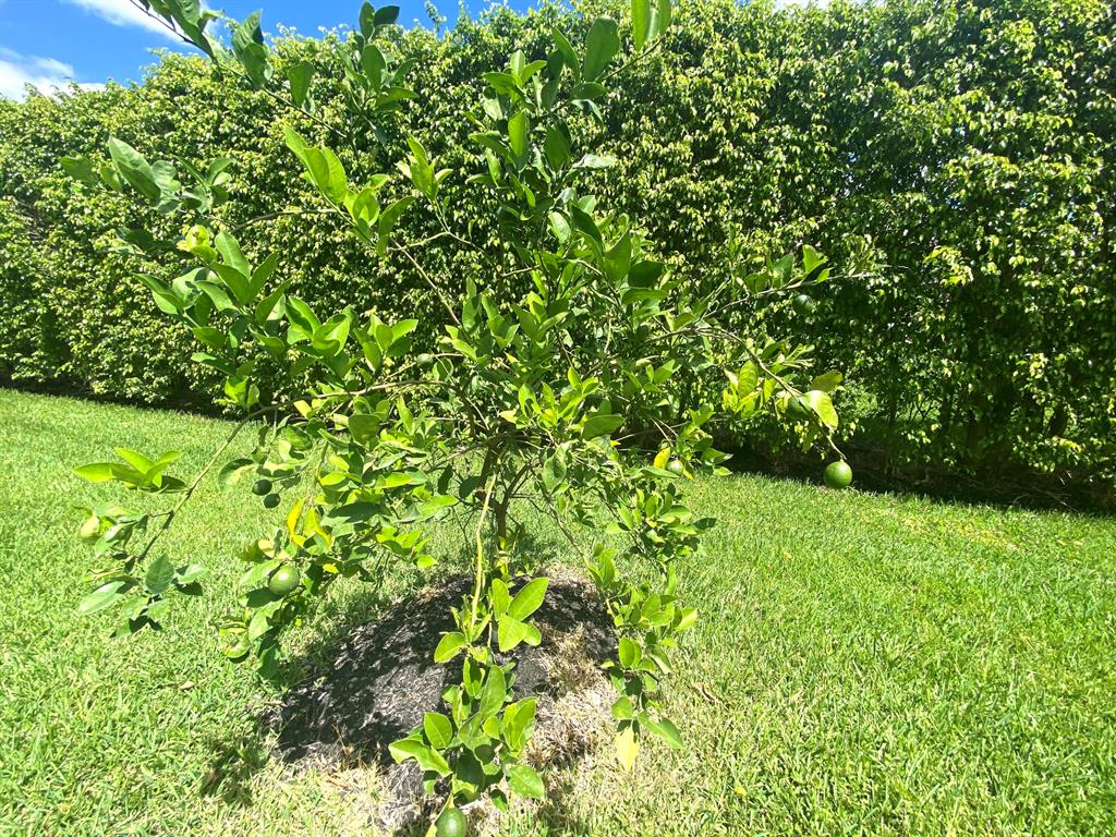 14977 Key Lime Boulevard