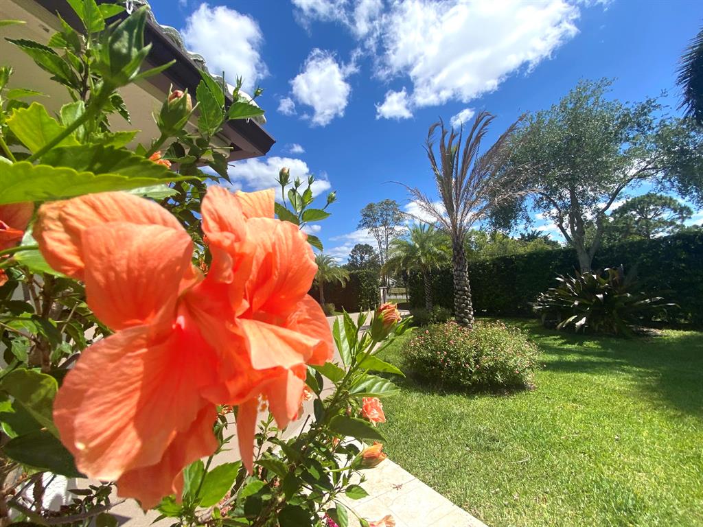 14977 Key Lime Boulevard