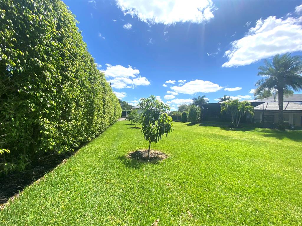 14977 Key Lime Boulevard