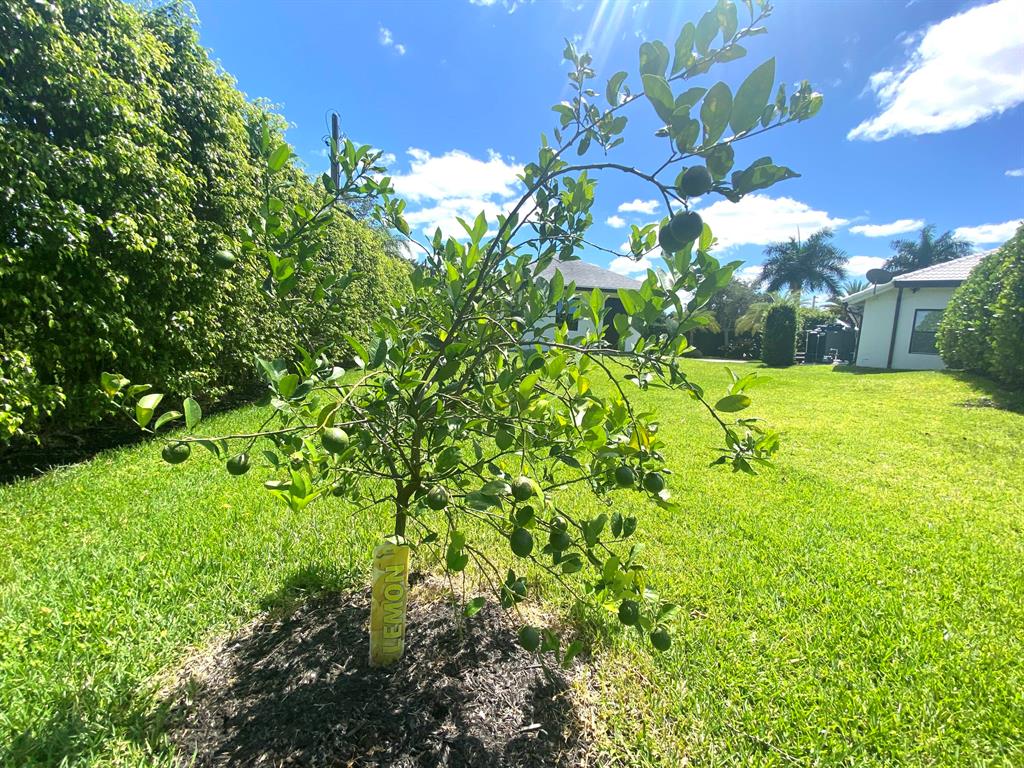 14977 Key Lime Boulevard