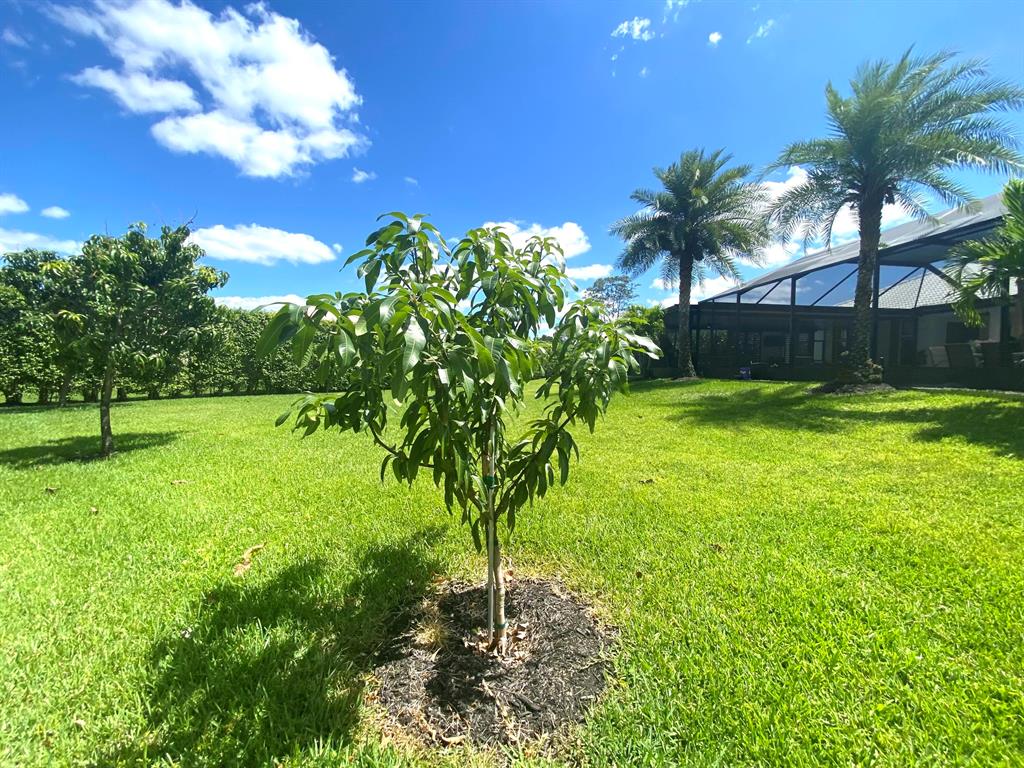 14977 Key Lime Boulevard