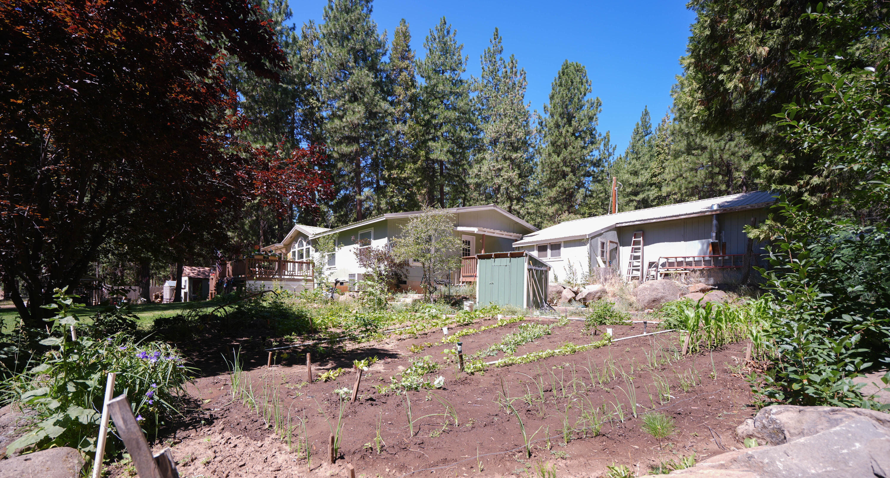 17008 Ponderosa Lane