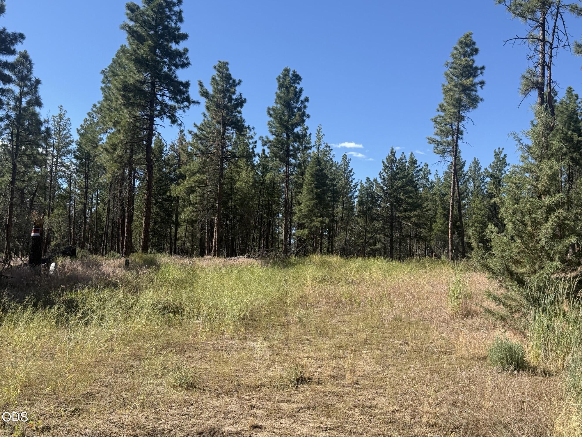 22337 Wampum Lane