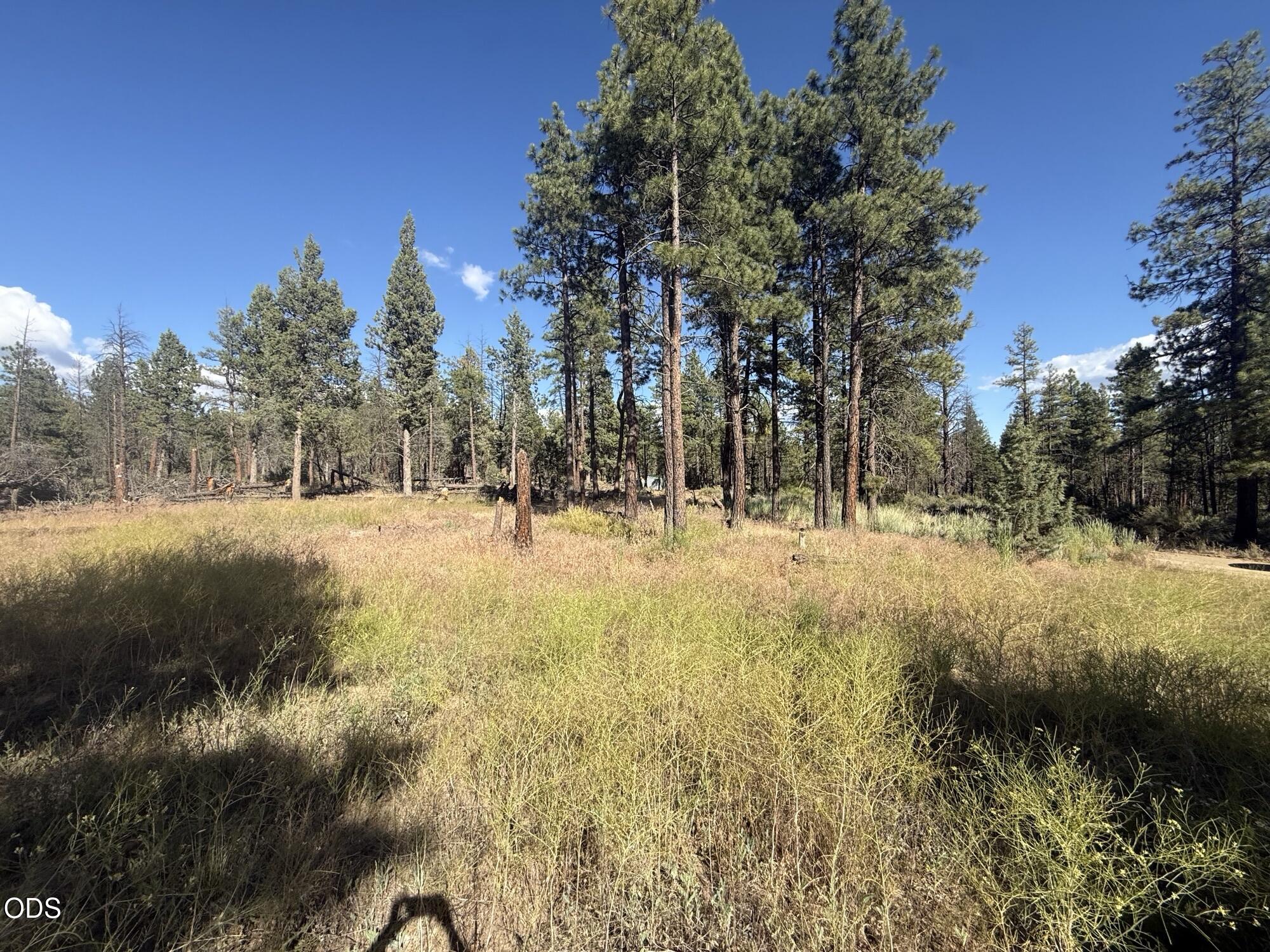 22337 Wampum Lane