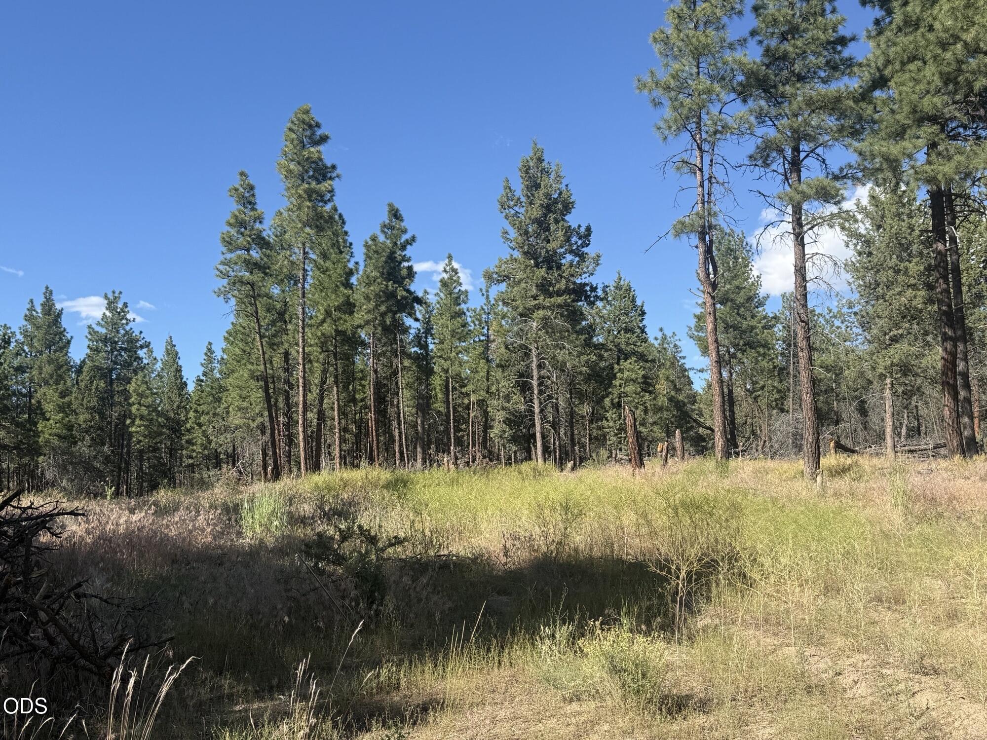 22337 Wampum Lane