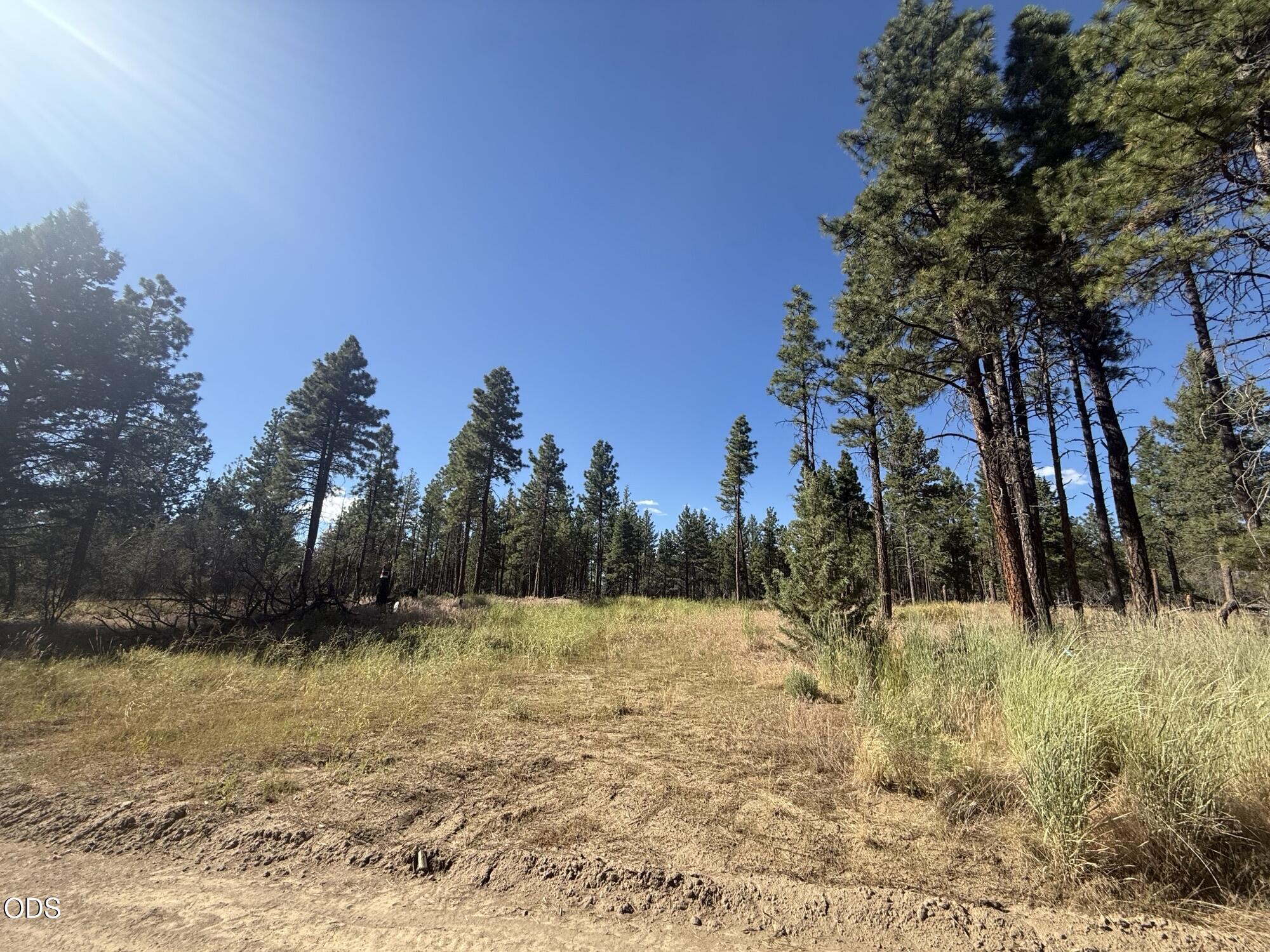 22337 Wampum Lane