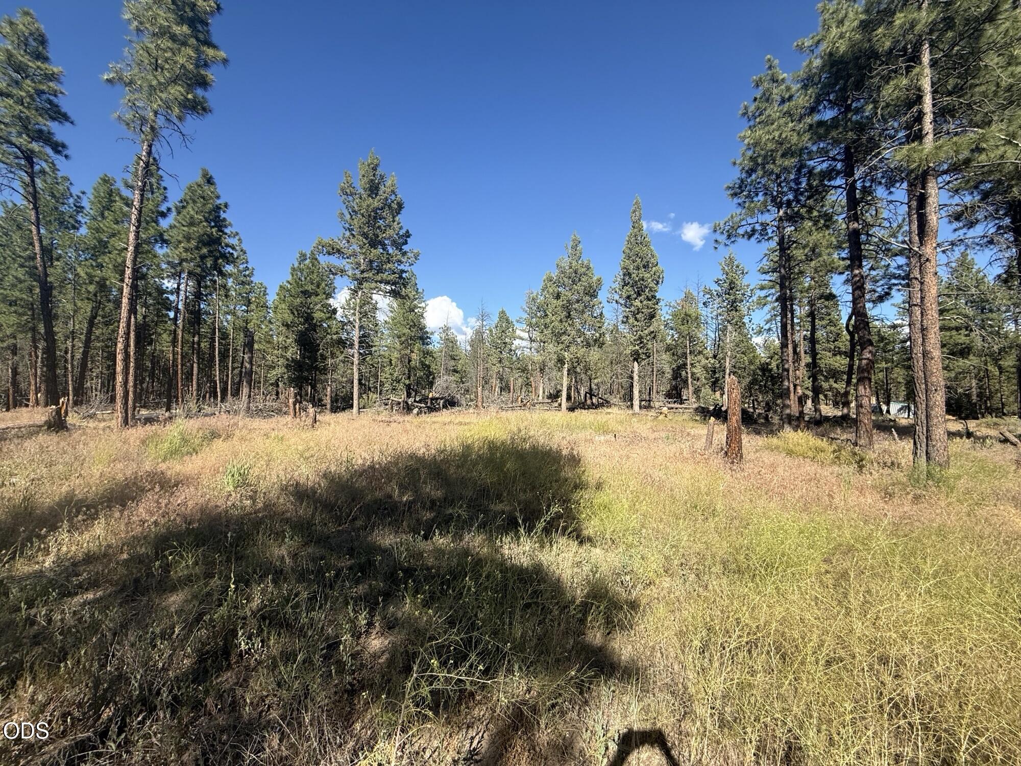 22337 Wampum Lane