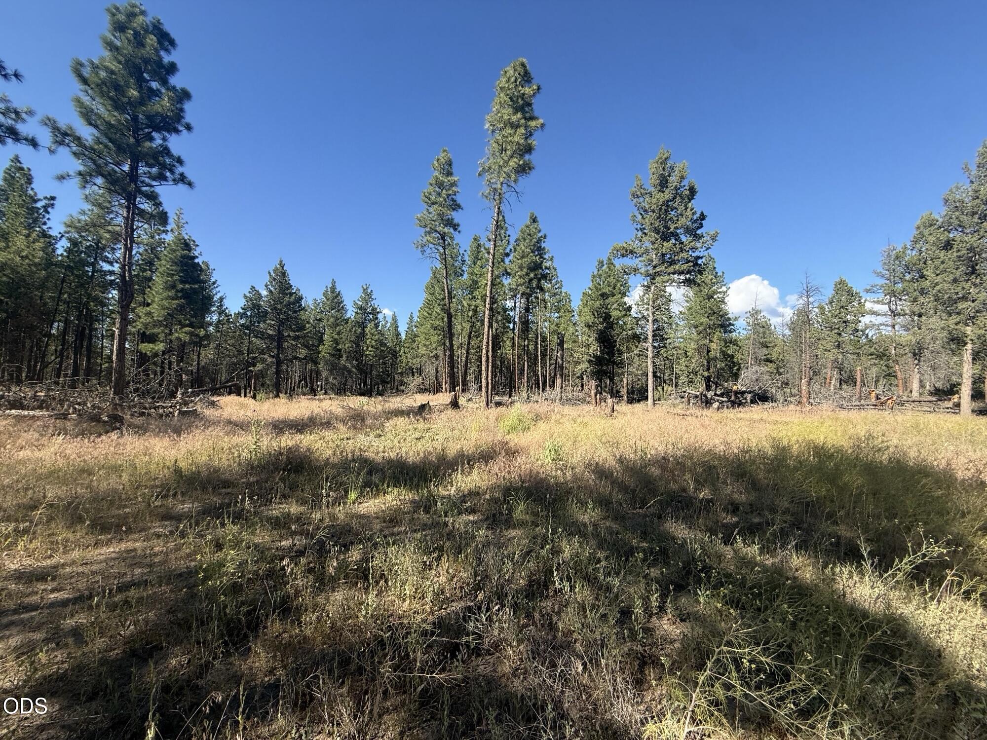 22337 Wampum Lane