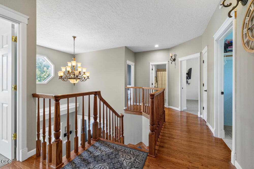 4081 Collier Lane