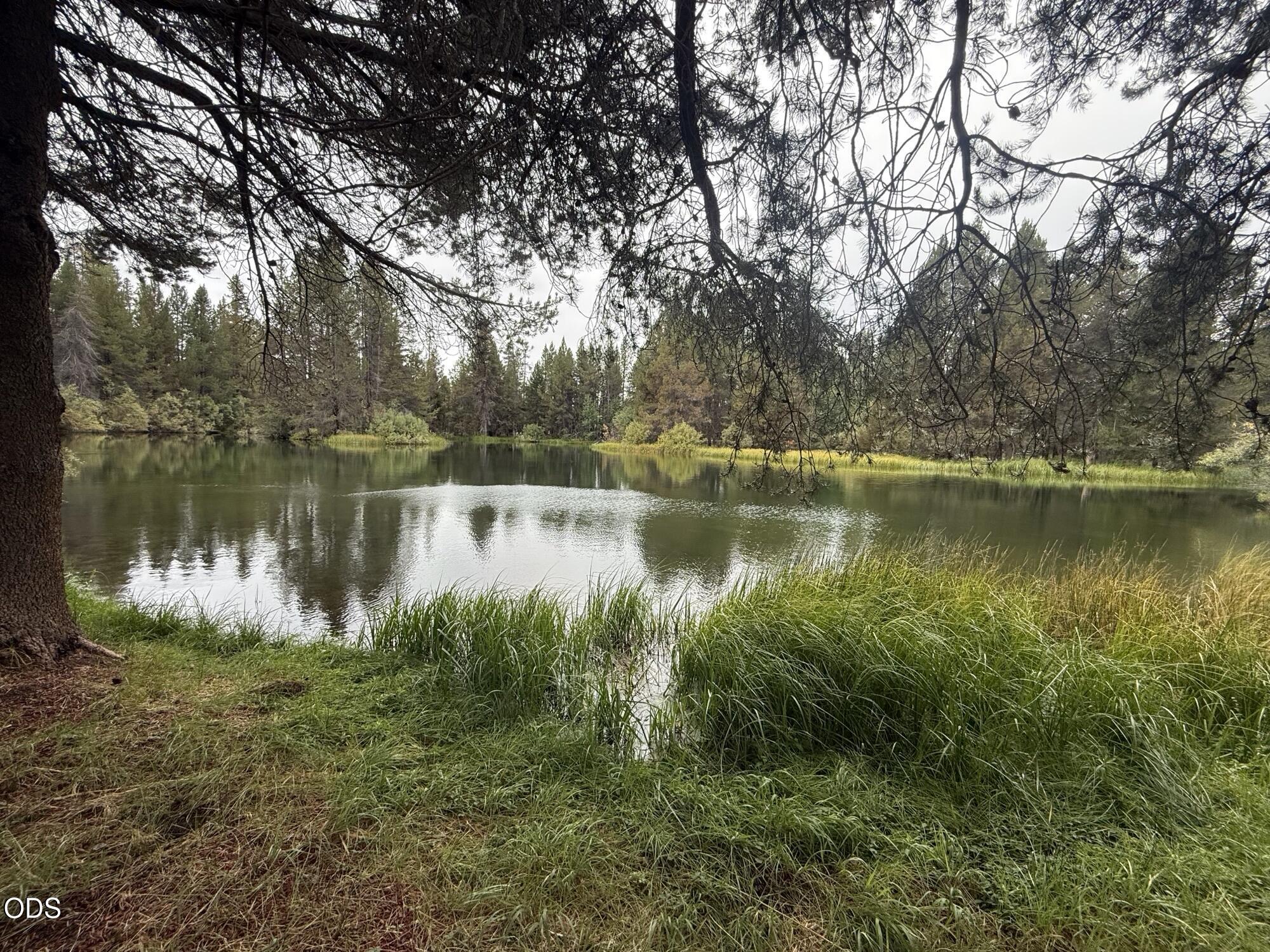 4426 Panhandle Road
