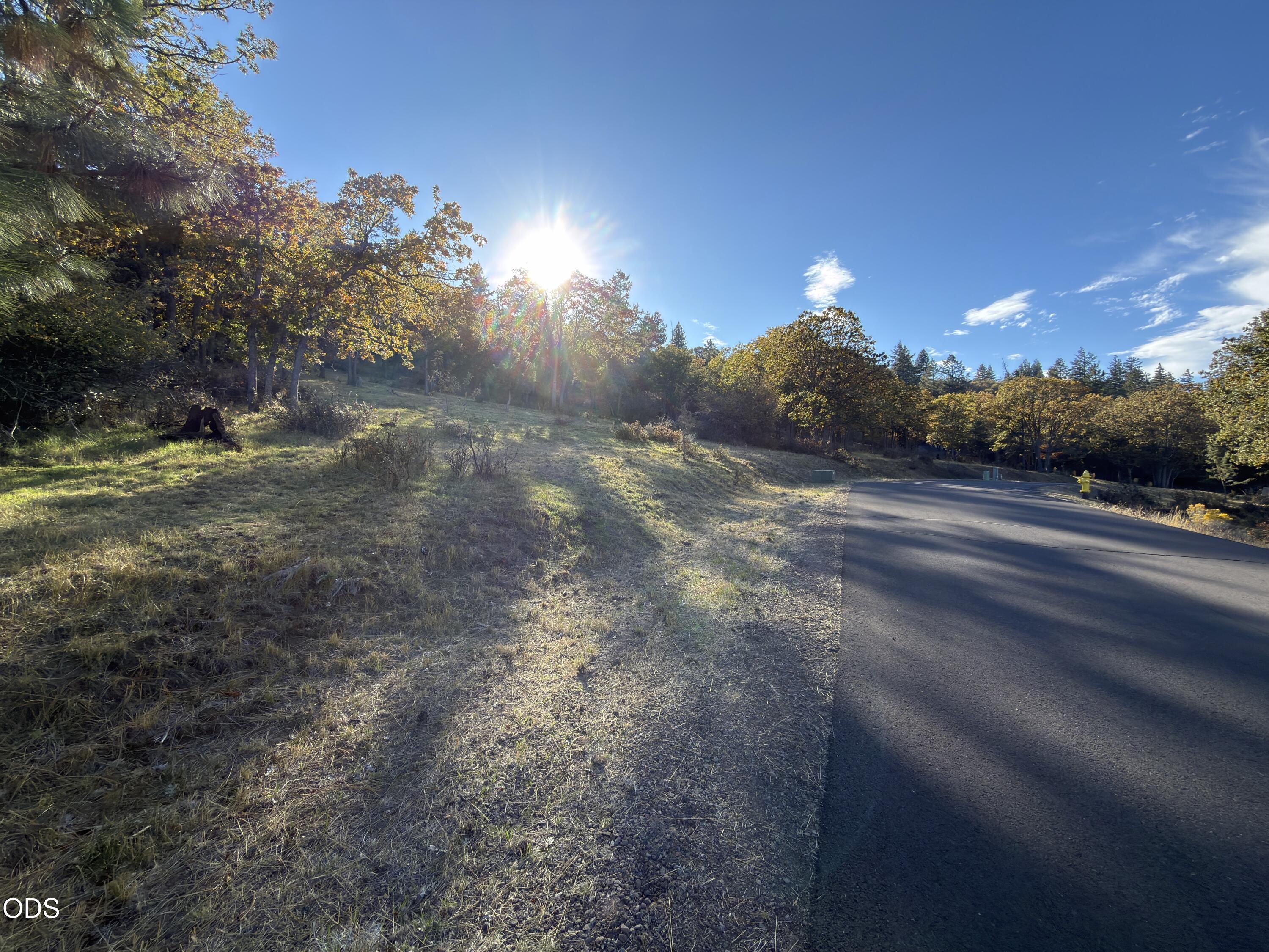 Coopers Hawk Road, 852