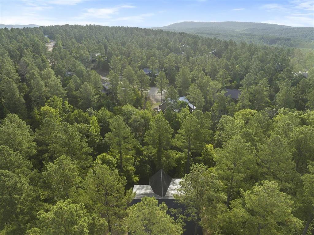 53 Persimmon Leaf Trail
