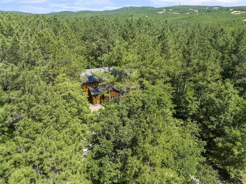 123 King Pine Lane