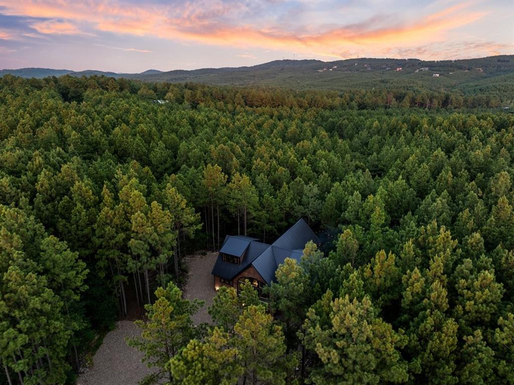 112 Bear Pine Trail