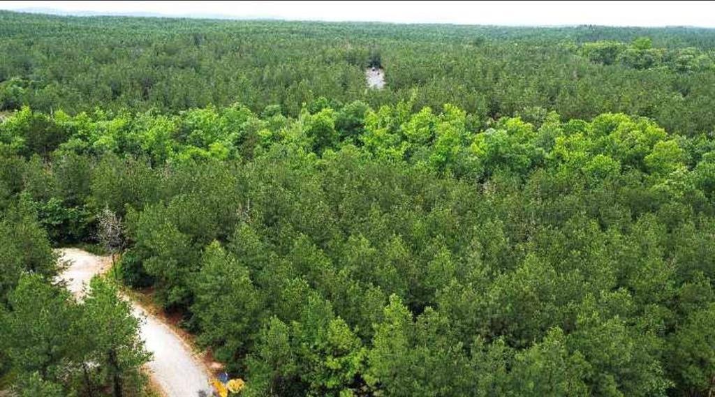 25 Cabins North Carter Creek