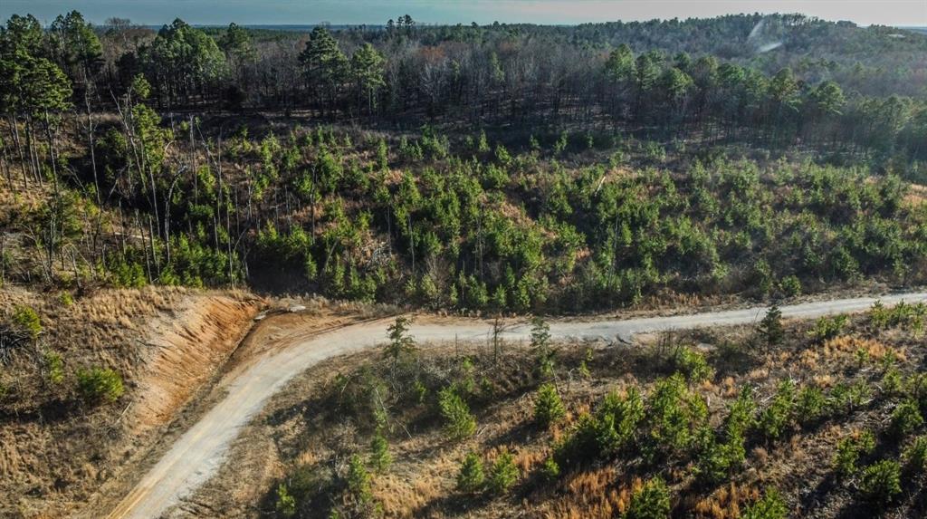 543 Woodland Ridge Trail
