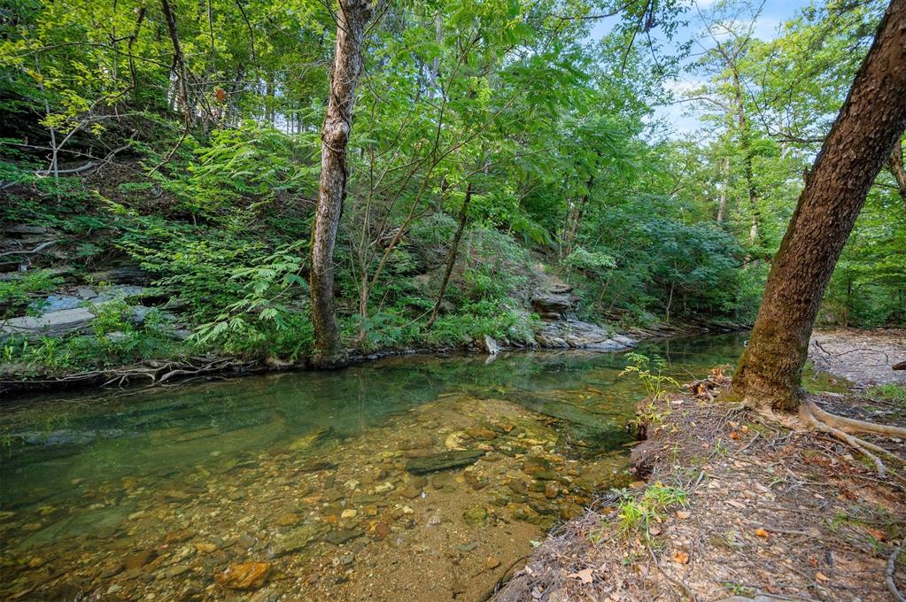 247 Lookout Pines Trail