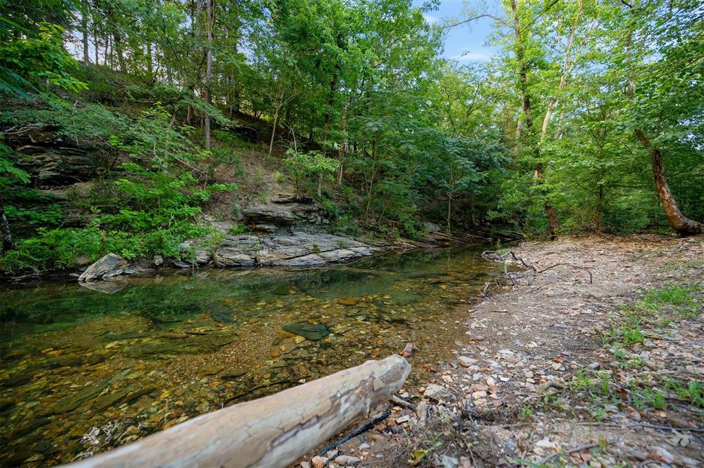 247 Lookout Pines Trail