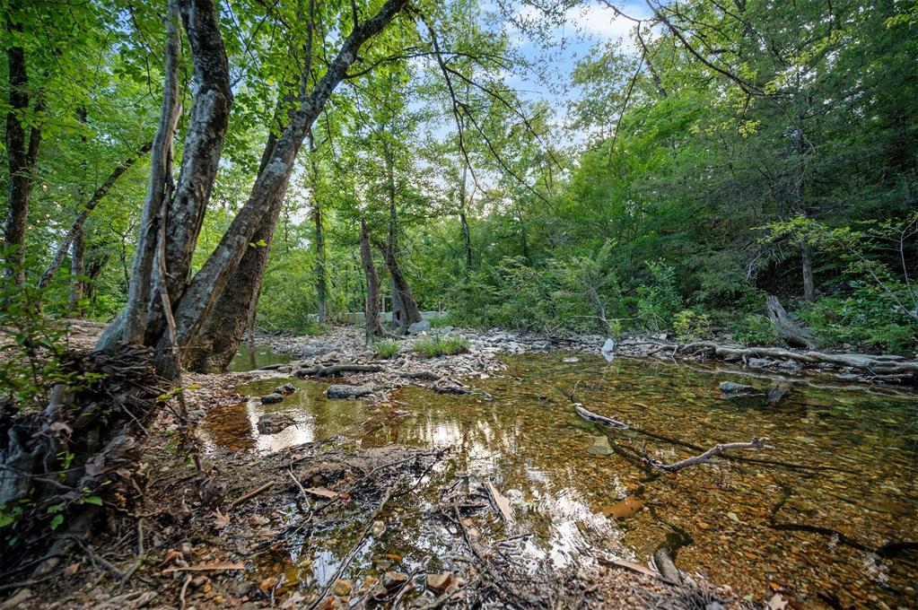 247 Lookout Pines Trail