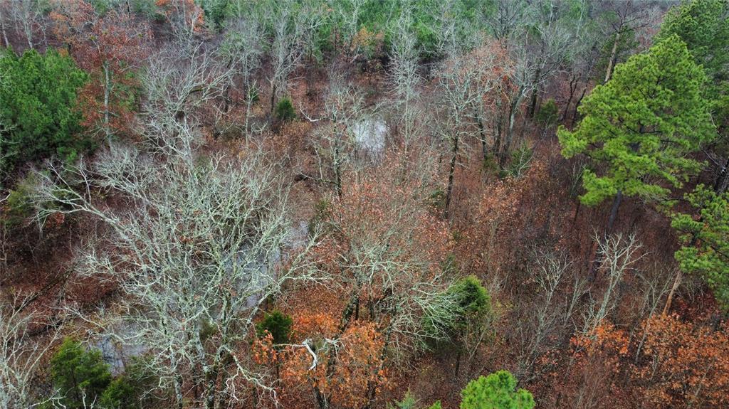 184 Sycamore Bottoms Lane