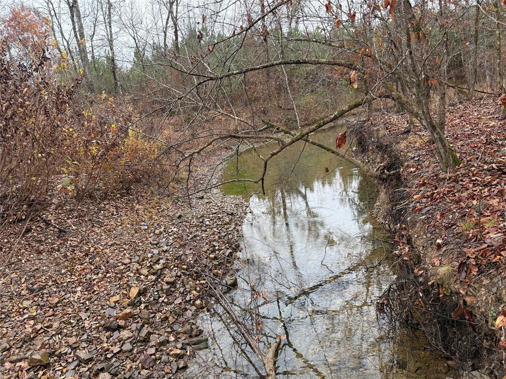 184 Sycamore Bottoms Lane
