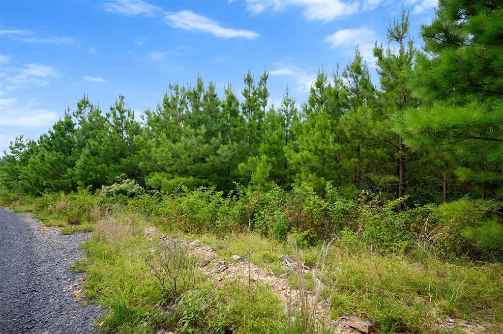 234 Sierra Vista Trail