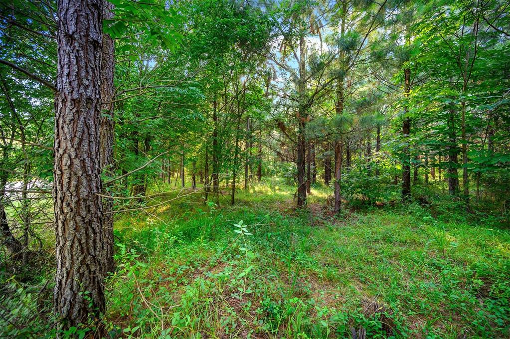 5757 Pine Seed Trail