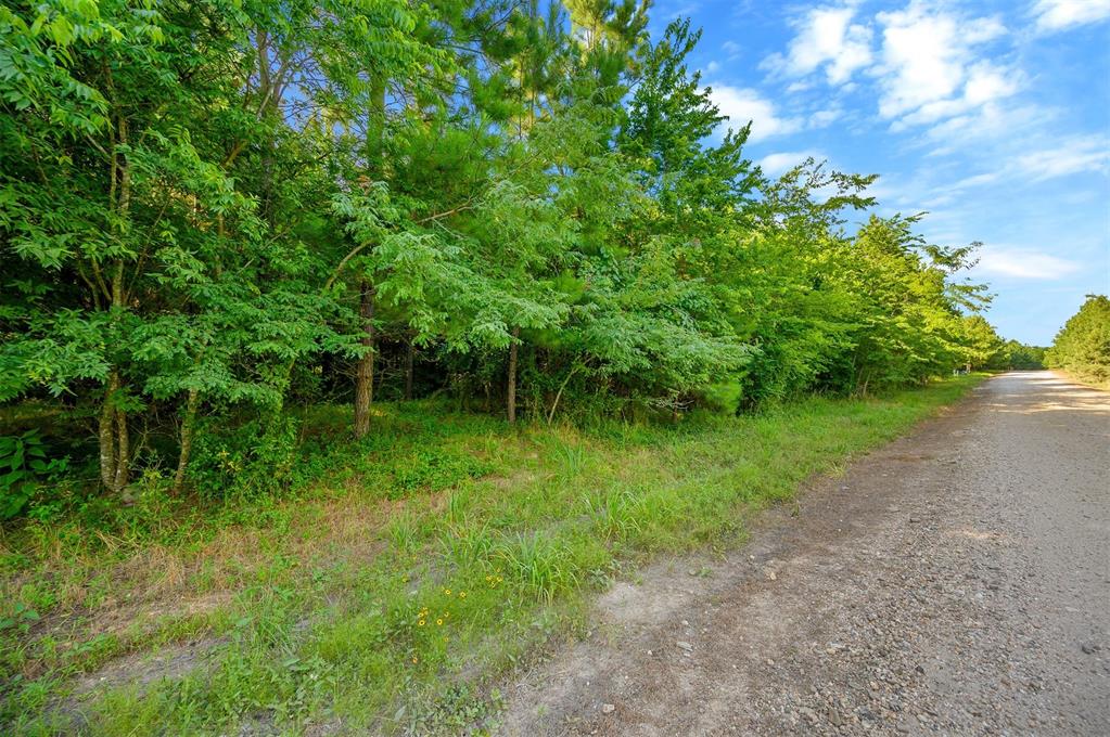 5757 Pine Seed Trail