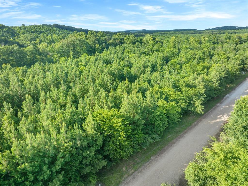 5757 Pine Seed Trail