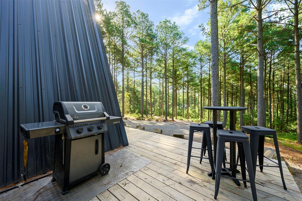 297 Triton Trail