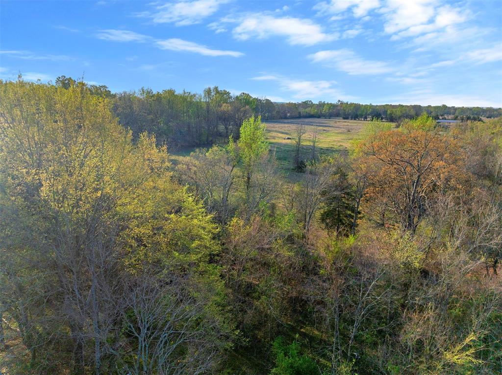 2822 Womack Road