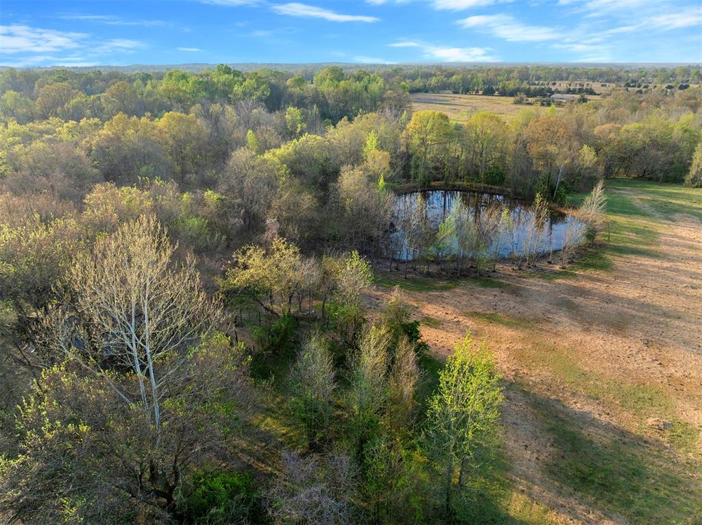 2822 Womack Road