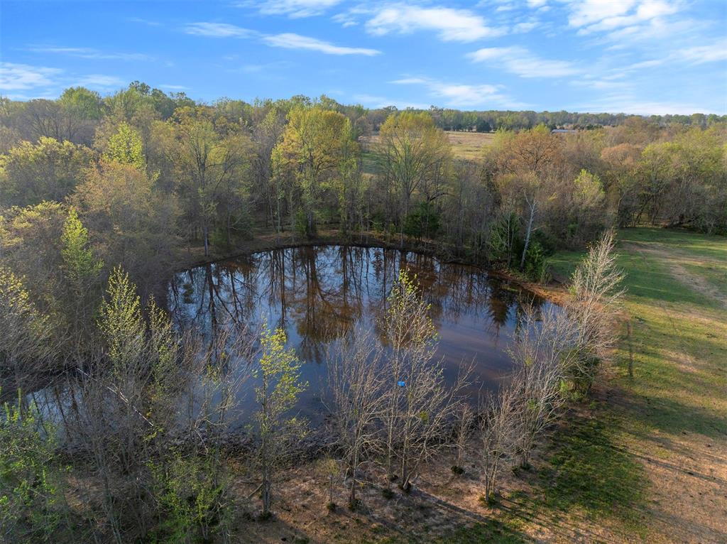 2822 Womack Road