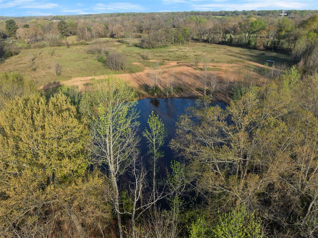 2822 Womack Road