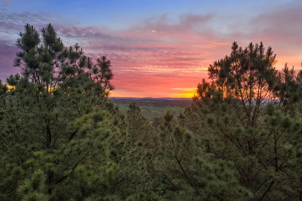 1564 Pine Hills Road