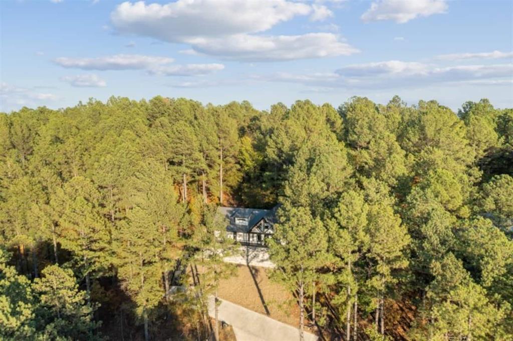 128 Sharp Holly Trail