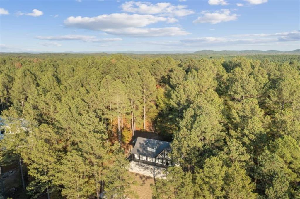 128 Sharp Holly Trail