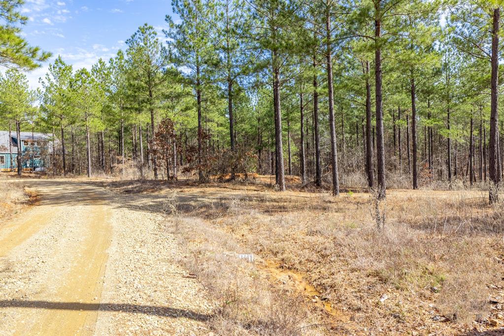 224 Cedar Hills Trail