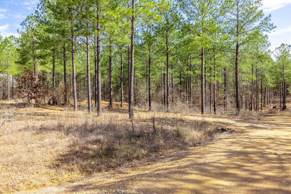 224 Cedar Hills Trail