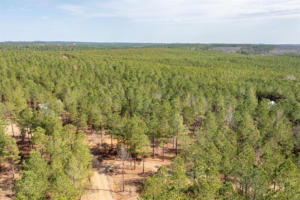 224 Cedar Hills Trail