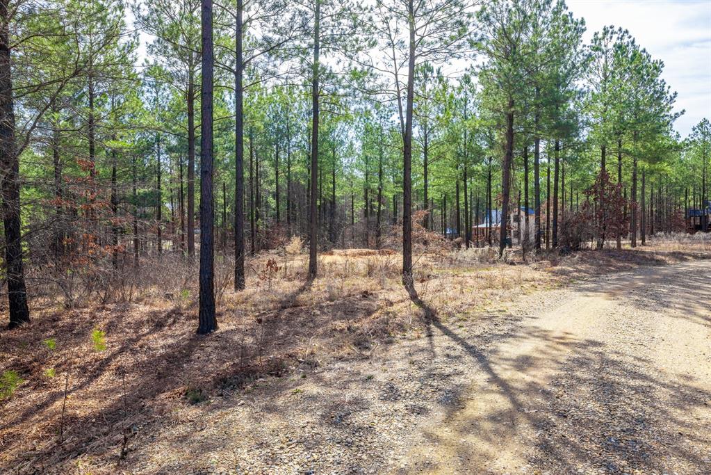 224 Cedar Hills Trail