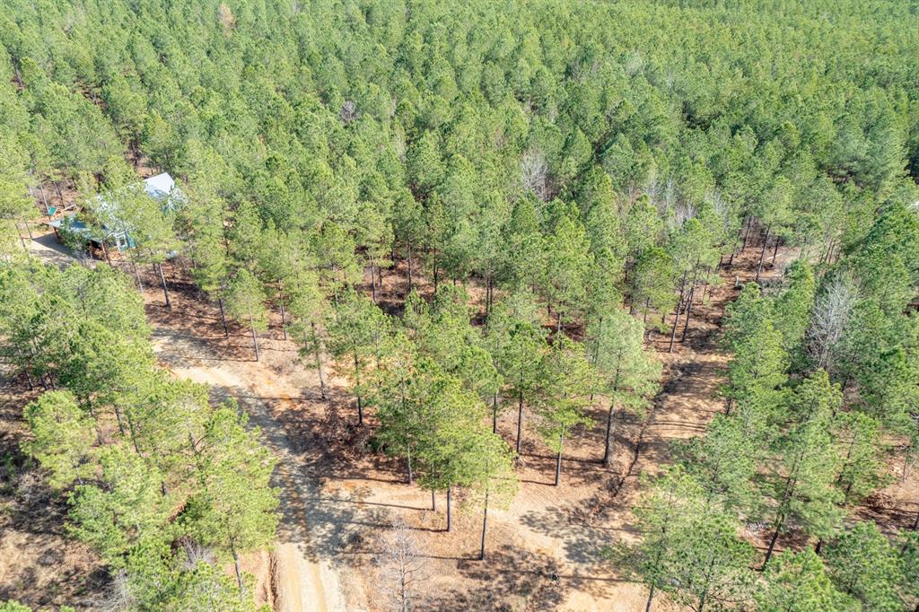 224 Cedar Hills Trail