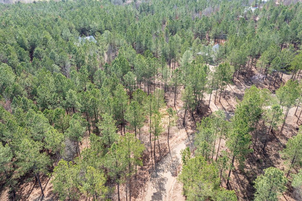 224 Cedar Hills Trail
